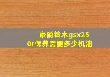 豪爵铃木gsx250r保养需要多少机油