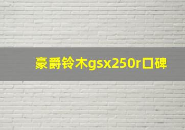 豪爵铃木gsx250r口碑