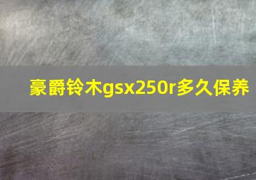 豪爵铃木gsx250r多久保养