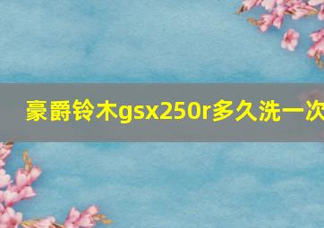 豪爵铃木gsx250r多久洗一次