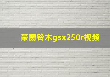 豪爵铃木gsx250r视频