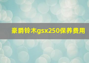 豪爵铃木gsx250保养费用