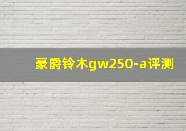 豪爵铃木gw250-a评测