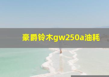 豪爵铃木gw250a油耗