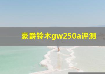 豪爵铃木gw250a评测