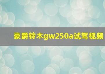 豪爵铃木gw250a试驾视频