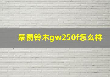 豪爵铃木gw250f怎么样