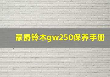 豪爵铃木gw250保养手册