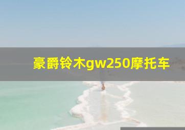 豪爵铃木gw250摩托车