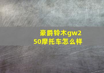 豪爵铃木gw250摩托车怎么样