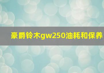 豪爵铃木gw250油耗和保养