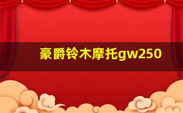 豪爵铃木摩托gw250