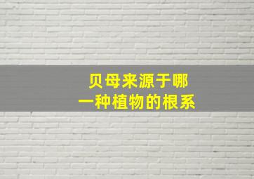 贝母来源于哪一种植物的根系