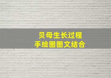 贝母生长过程手绘图图文结合