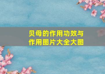 贝母的作用功效与作用图片大全大图