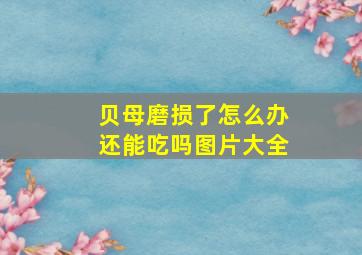 贝母磨损了怎么办还能吃吗图片大全