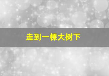 走到一棵大树下