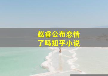 赵睿公布恋情了吗知乎小说