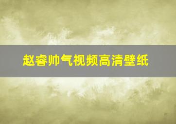 赵睿帅气视频高清壁纸