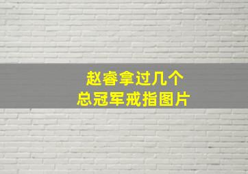 赵睿拿过几个总冠军戒指图片