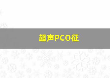 超声PCO征