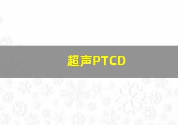 超声PTCD