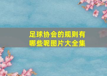 足球协会的规则有哪些呢图片大全集