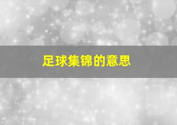 足球集锦的意思