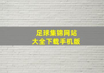 足球集锦网站大全下载手机版