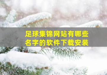 足球集锦网站有哪些名字的软件下载安装