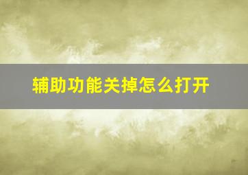 辅助功能关掉怎么打开