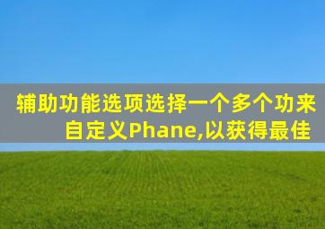 辅助功能选项选择一个多个功来自定义Phane,以获得最佳