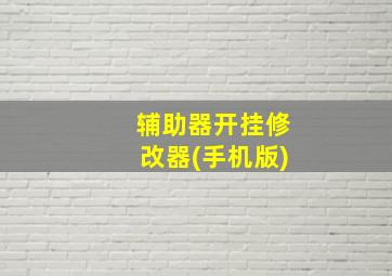 辅助器开挂修改器(手机版)