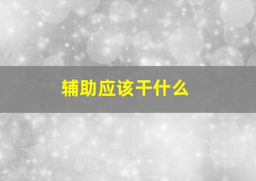 辅助应该干什么