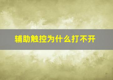 辅助触控为什么打不开