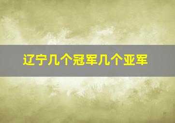 辽宁几个冠军几个亚军