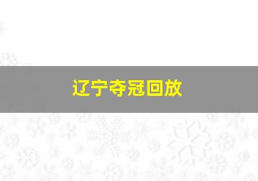 辽宁夺冠回放