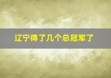 辽宁得了几个总冠军了