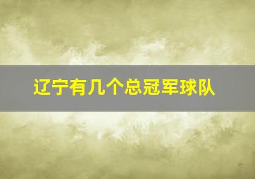 辽宁有几个总冠军球队