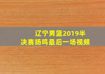 辽宁男篮2019半决赛扬鸣最后一场视频