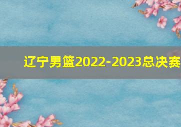 辽宁男篮2022-2023总决赛