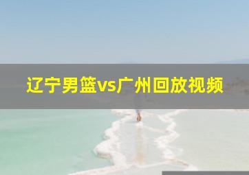 辽宁男篮vs广州回放视频