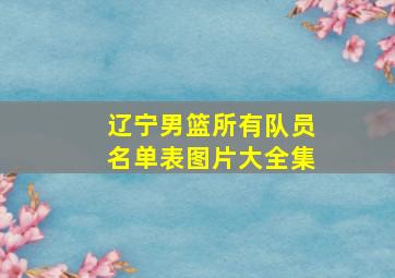 辽宁男篮所有队员名单表图片大全集