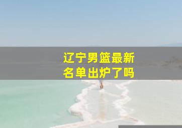 辽宁男篮最新名单出炉了吗