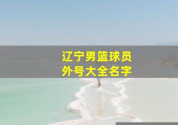 辽宁男篮球员外号大全名字