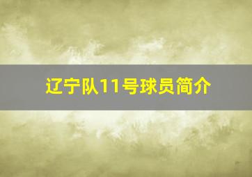 辽宁队11号球员简介