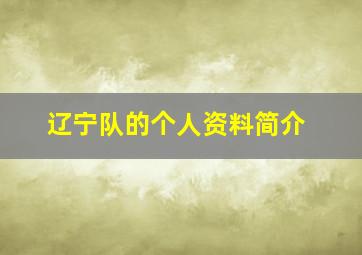 辽宁队的个人资料简介