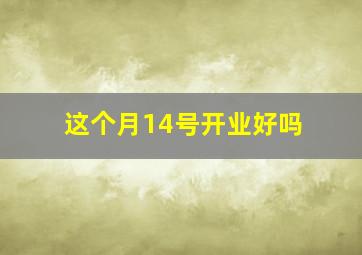 这个月14号开业好吗