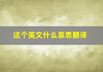 这个英文什么意思翻译