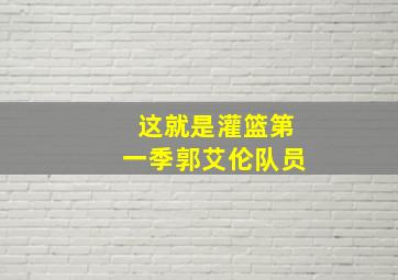 这就是灌篮第一季郭艾伦队员